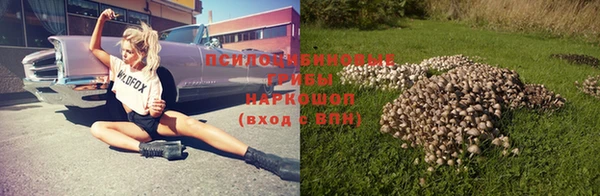 стафф Алзамай
