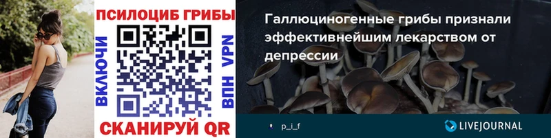 Галлюциногенные грибы прущие грибы Кириллов